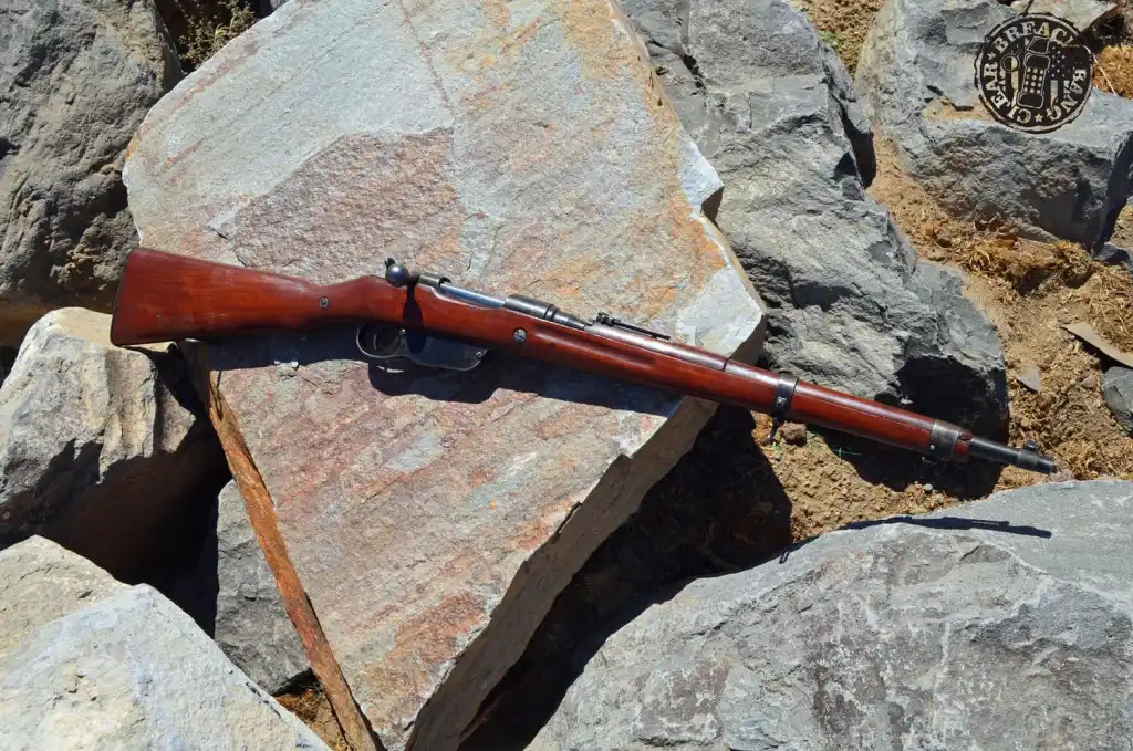 M1895 Mannlicher in the mountains