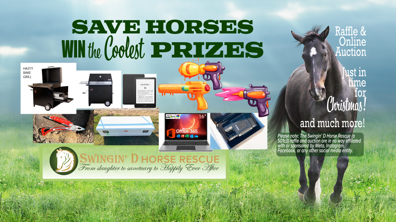 Oklahoma Horse Rescue non-profit fund-raising raffle 2024