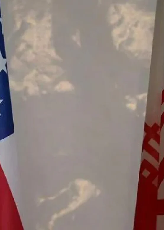 American Liberty News
